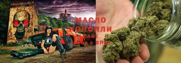 амф Бородино