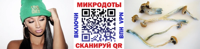Купить закладки Малмыж Галлюциногенные грибы прущие грибы